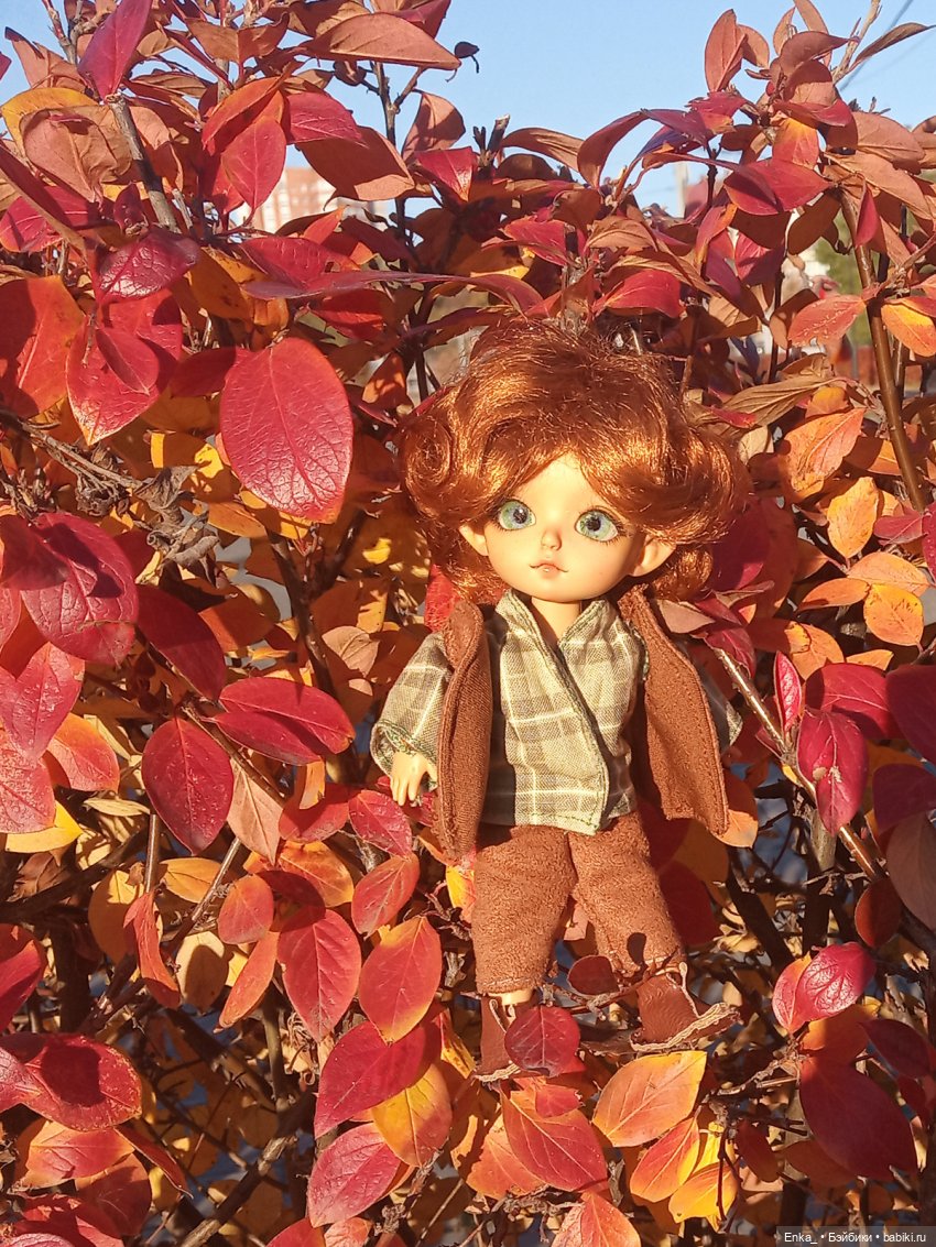 Осенние зарисовки: Питер — Куклы Latidoll (Лати): BJD (БЖД) (фото 6)
