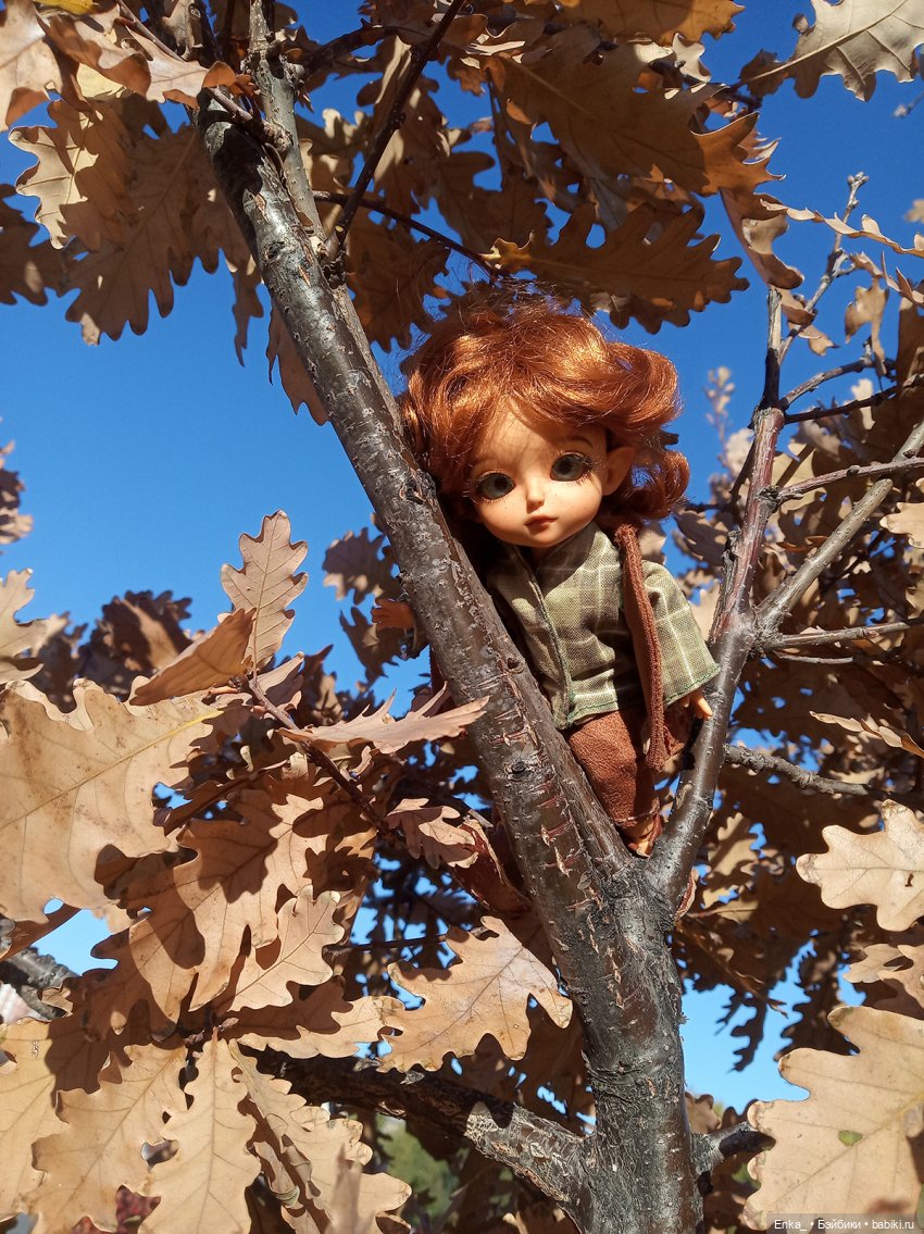 Осенние зарисовки: Питер — Куклы Latidoll (Лати): BJD (БЖД) (фото 10)