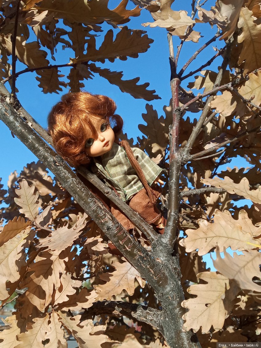 Осенние зарисовки: Питер — Куклы Latidoll (Лати): BJD (БЖД) (фото 8)