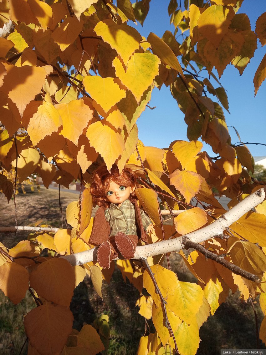 Осенние зарисовки: Питер — Куклы Latidoll (Лати): BJD (БЖД) (фото 3)