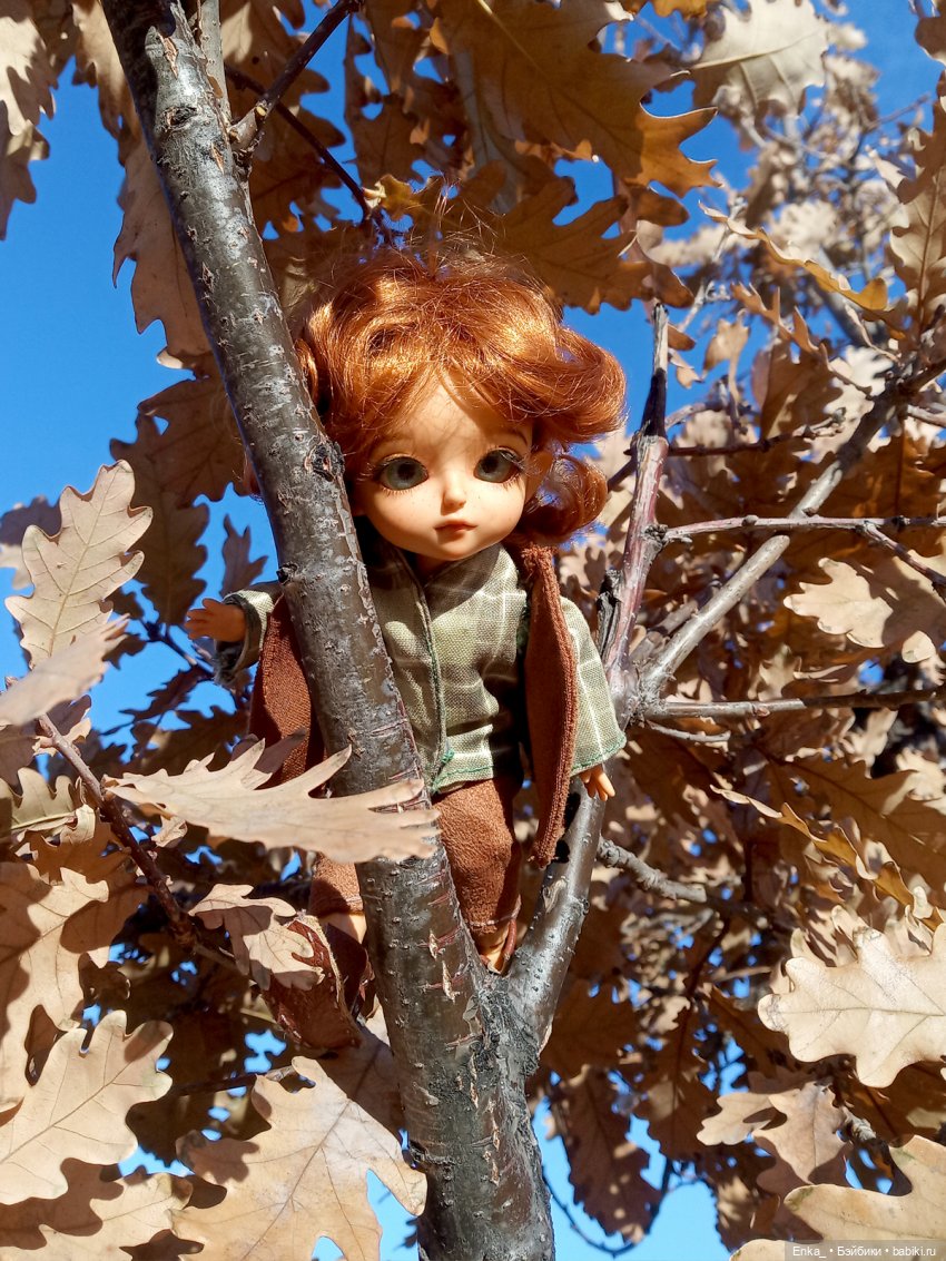 Осенние зарисовки: Питер — Куклы Latidoll (Лати): BJD (БЖД)