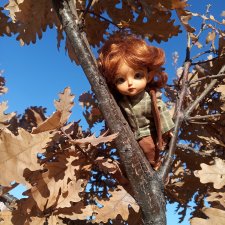 Осенние зарисовки: Питер