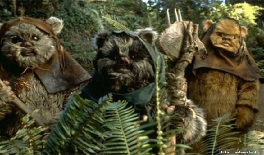 Принцесса Лея и Эвок: Hasbro Star Wars "Планета Эндор" (фото 6)