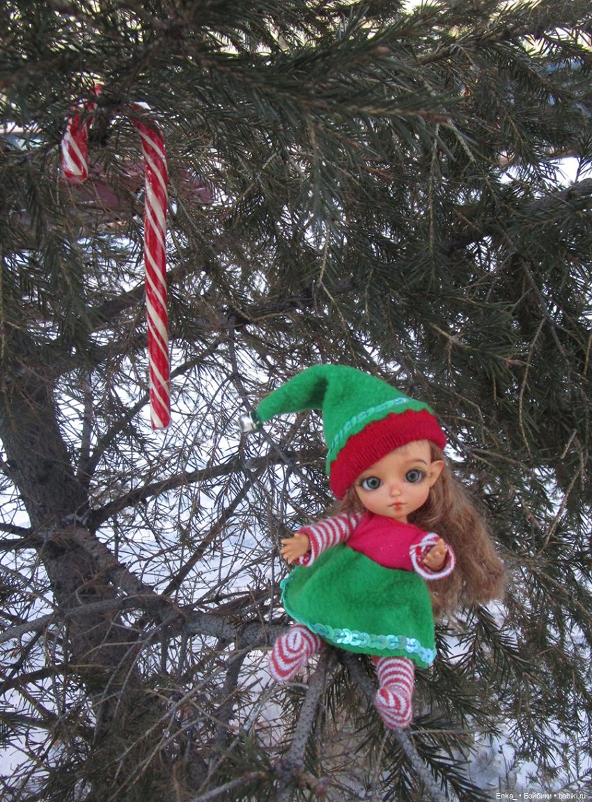 Николь на зимней прогулке (фото 2)