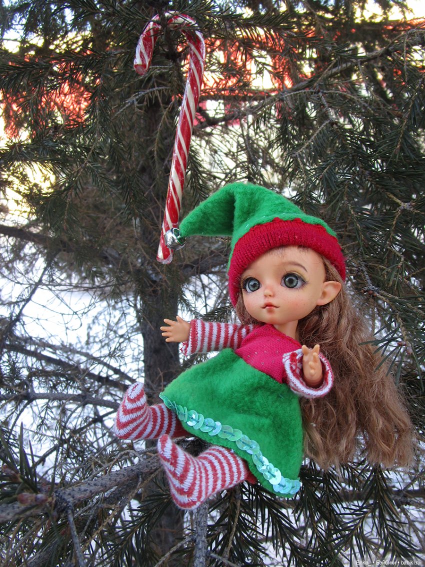 Николь на зимней прогулке (фото 3)