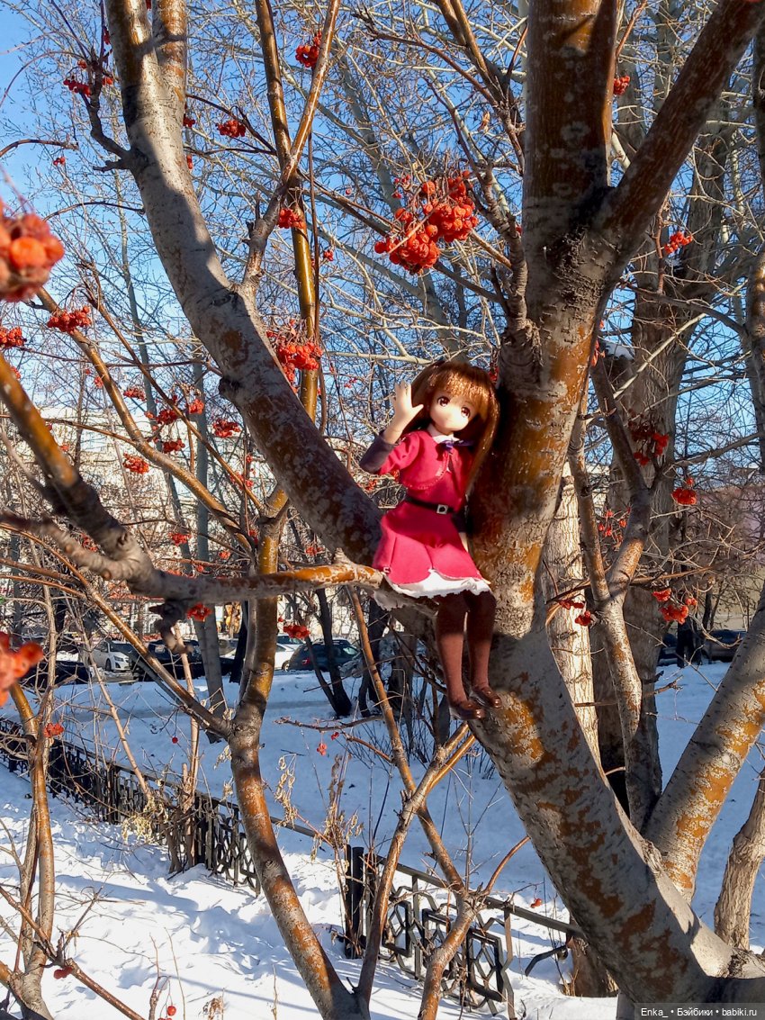 Миюки: первая прогулка — Аниме куклы (MJD/Винил): Imomo (фото 5)