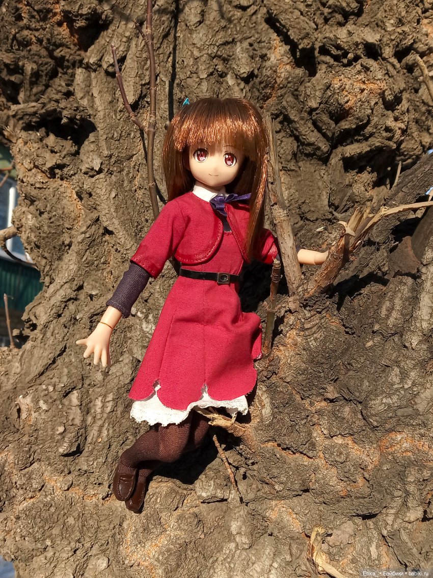 Миюки: первая прогулка — Аниме куклы (MJD/Винил): Imomo (фото 9)