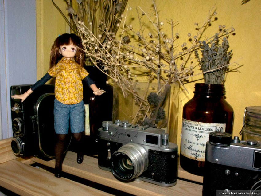 Миюки в гостях: ретро-техника, сухоцветы (фото 7)