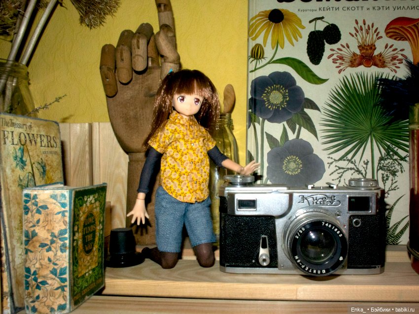 Миюки в гостях: ретро-техника, сухоцветы