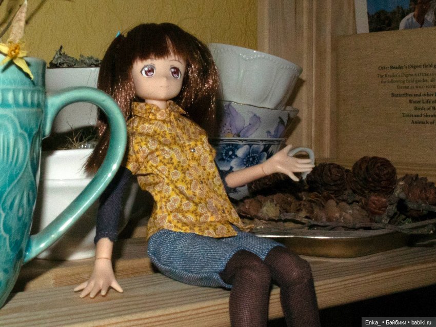 Миюки в гостях: ретро-техника, сухоцветы (фото 4)