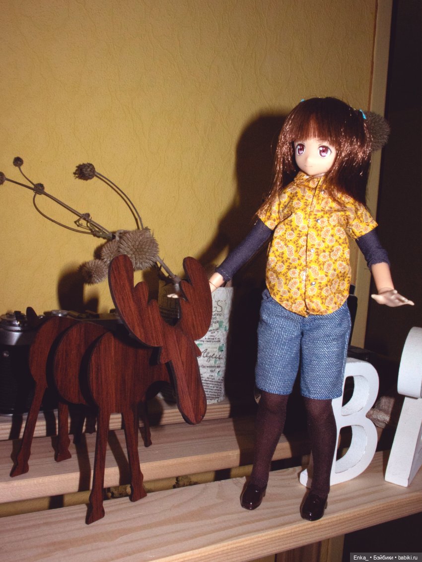 Миюки в гостях: ретро-техника, сухоцветы