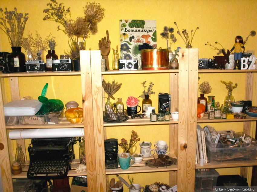 Миюки в гостях: ретро-техника, сухоцветы