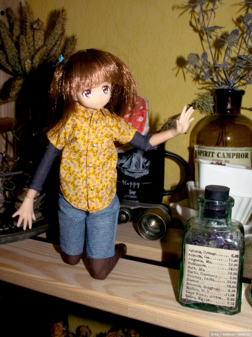 Миюки в гостях: ретро-техника, сухоцветы