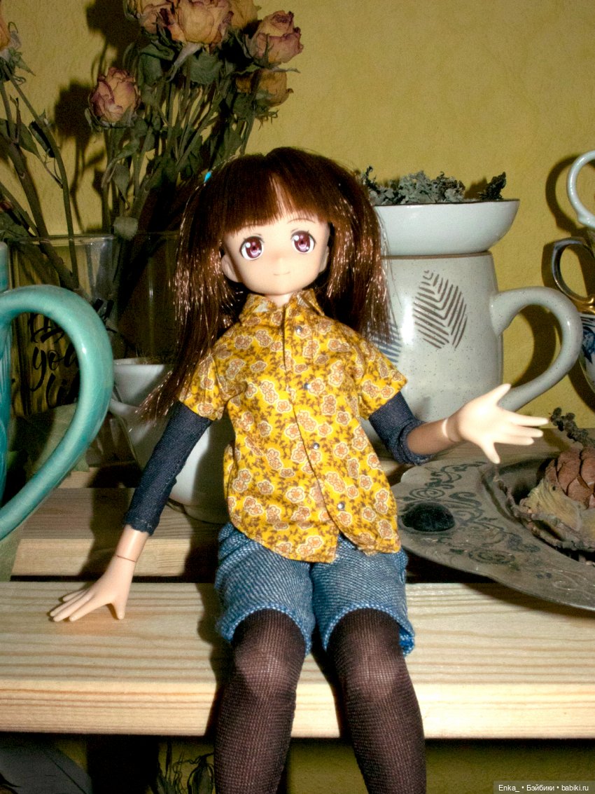 Миюки в гостях: ретро-техника, сухоцветы (фото 3)