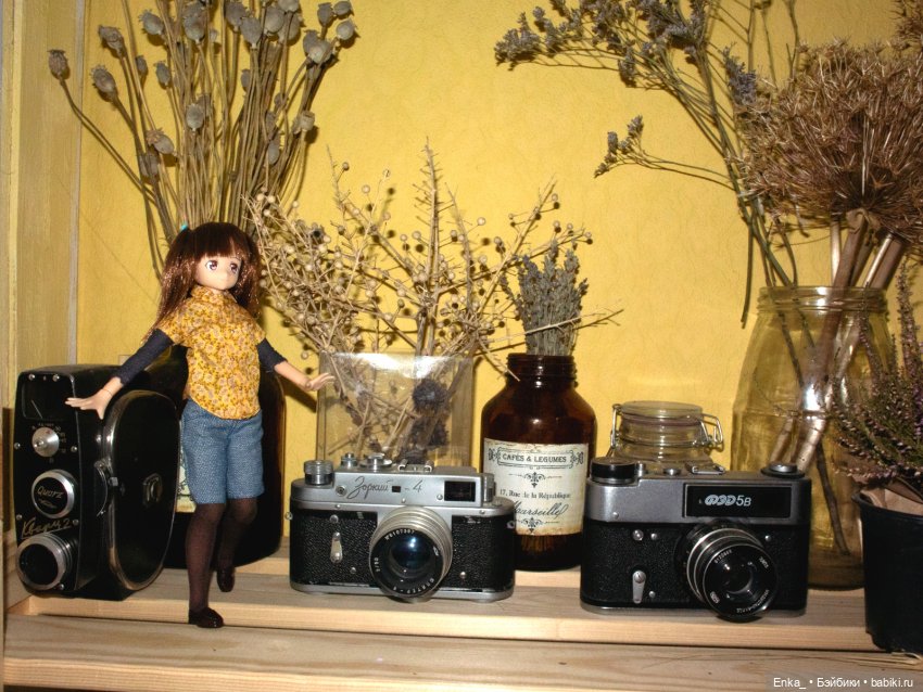 Миюки в гостях: ретро-техника, сухоцветы (фото 10)