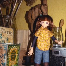 Миюки в гостях: ретро-техника, сухоцветы...