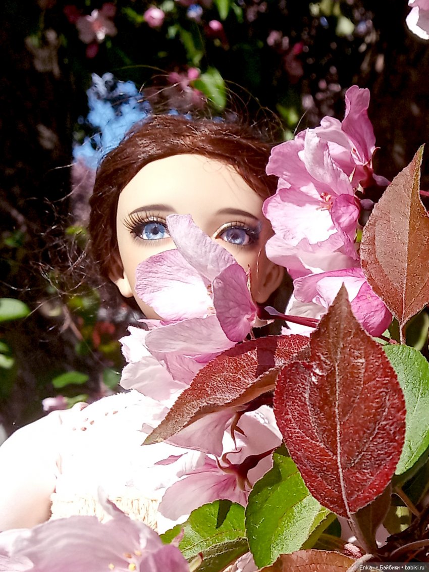 Корделия в яблоневом саду (фото 4)