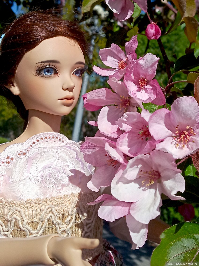 Корделия в яблоневом саду (фото 5)