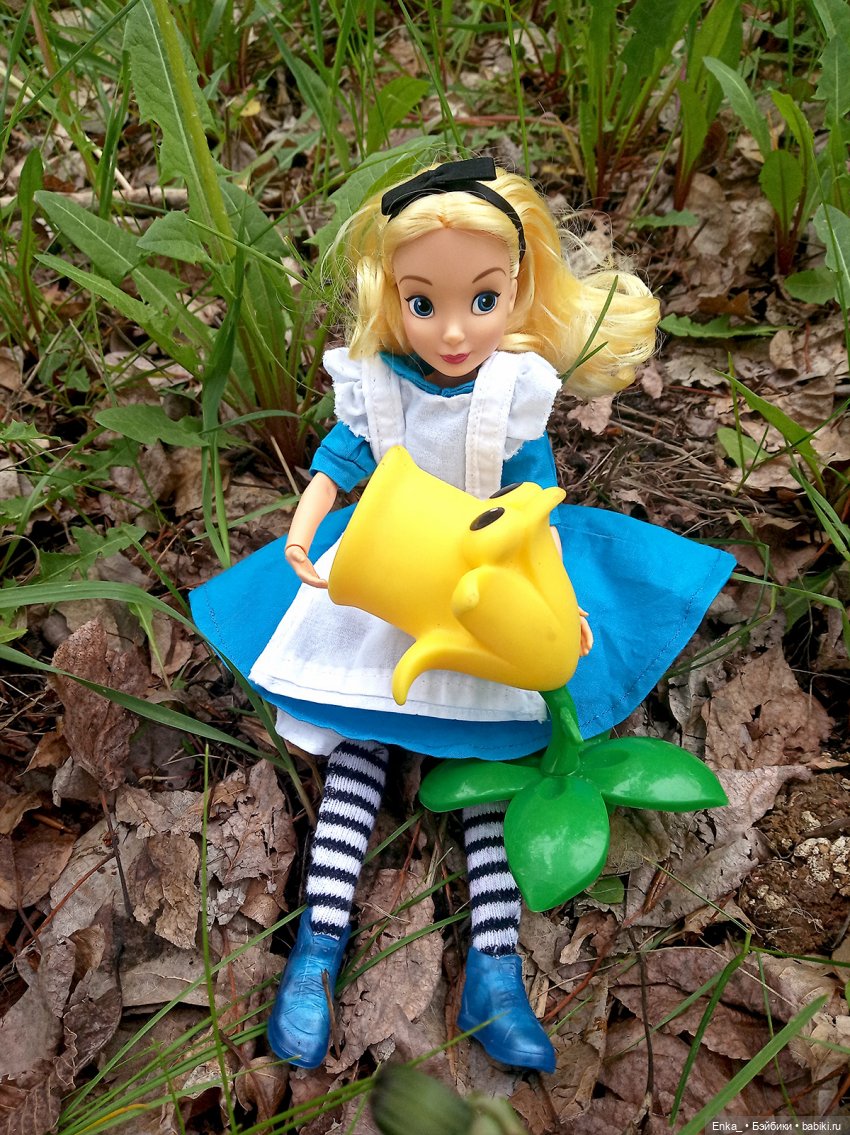 Алиса в Стране чудес: встреча с застенчивым цветком