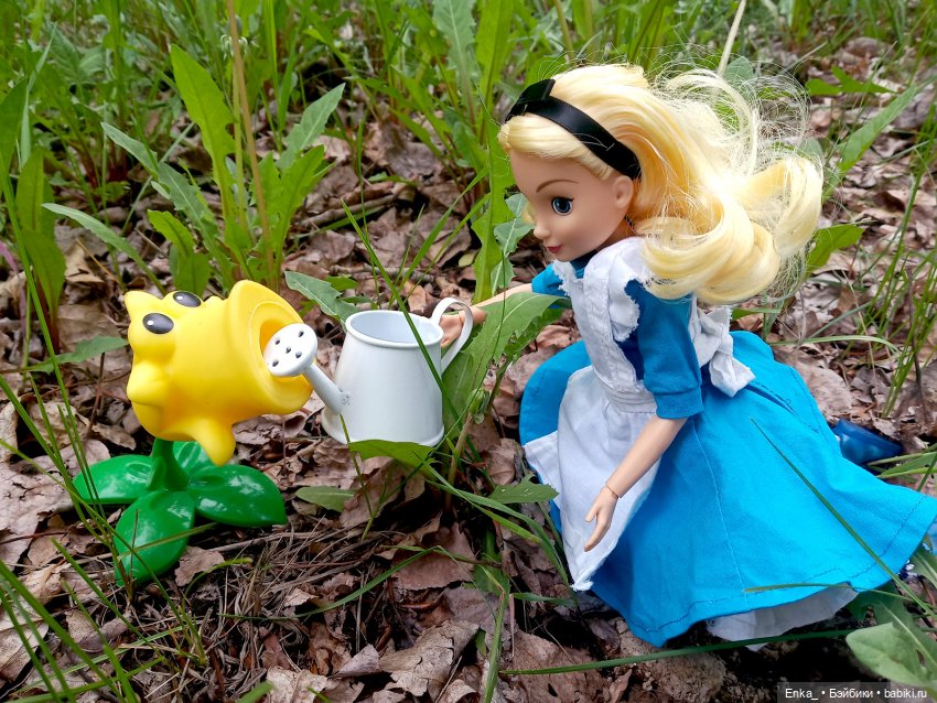 Алиса в Стране чудес: встреча с застенчивым цветком