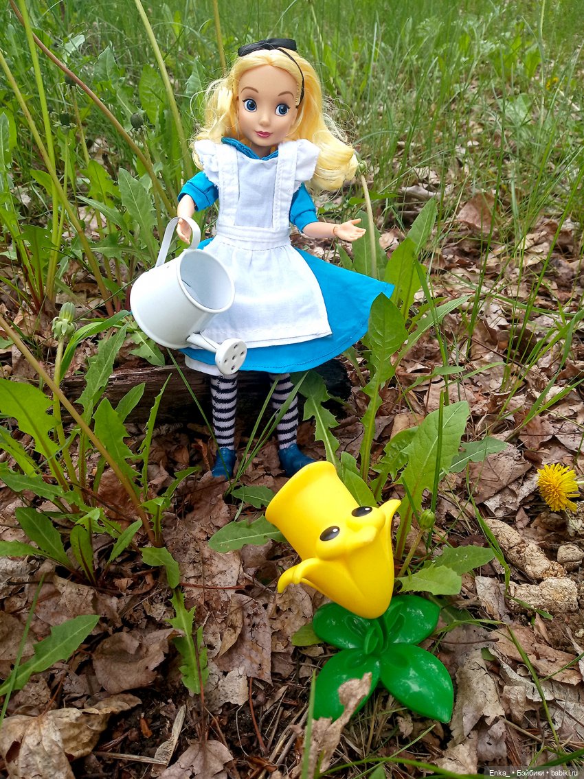 Алиса в Стране чудес: встреча с застенчивым цветком