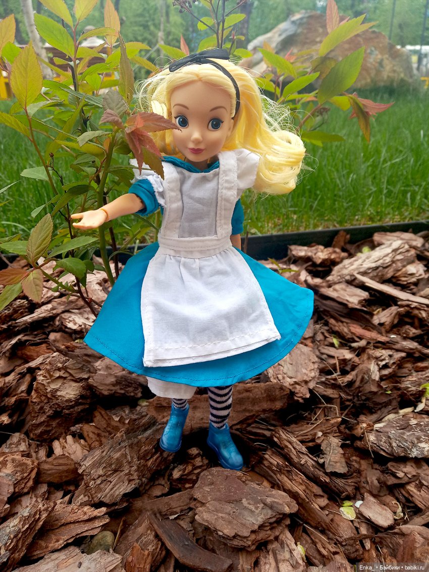 Алиса в Стране чудес: встреча с застенчивым цветком