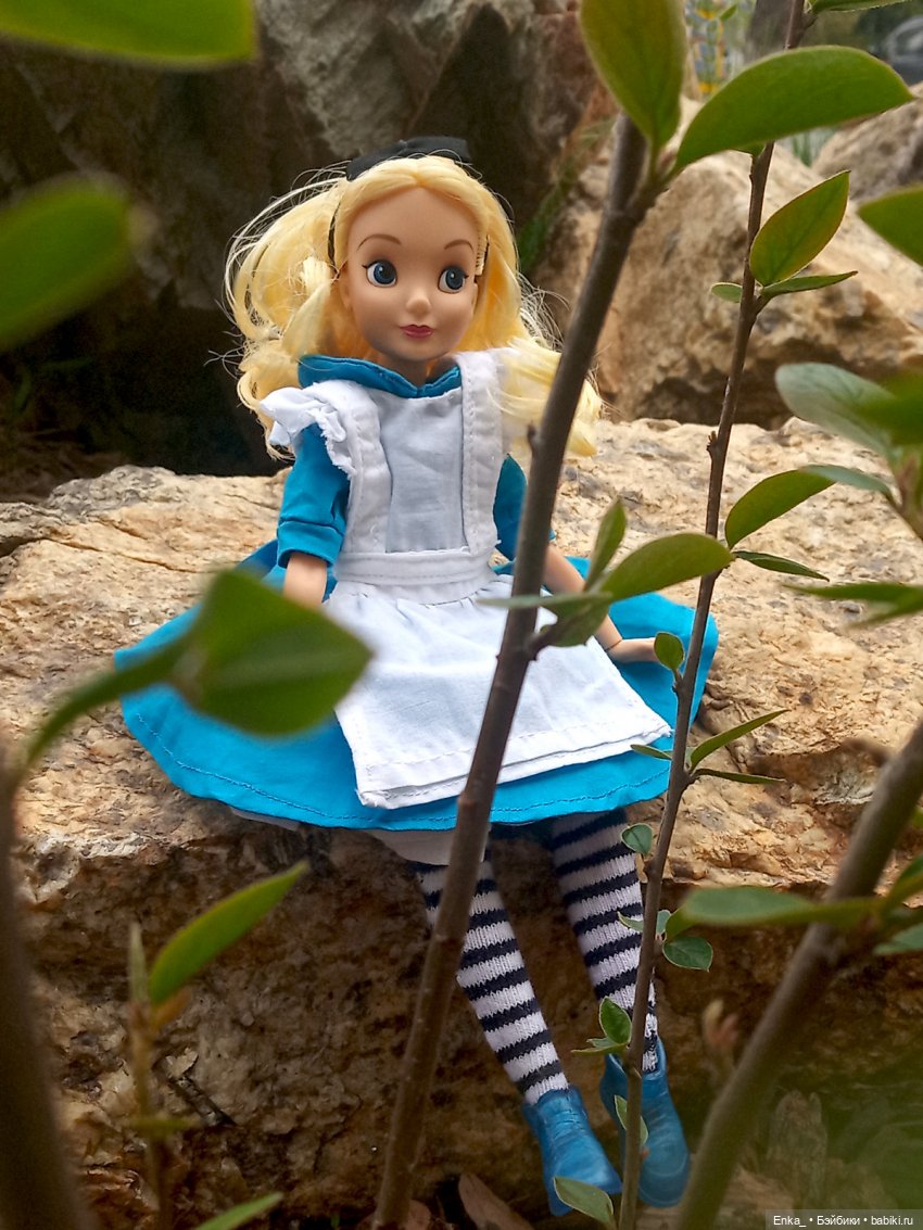 Алиса в Стране чудес: встреча с застенчивым цветком (фото 4)