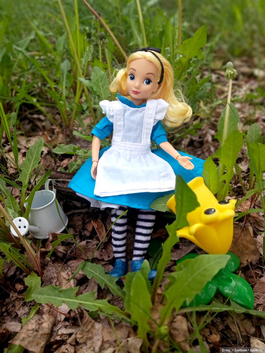 Алиса в Стране чудес: встреча с застенчивым цветком