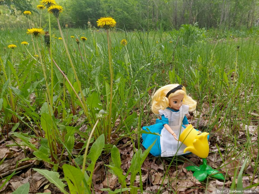 Алиса в Стране чудес: встреча с застенчивым цветком (фото 10)