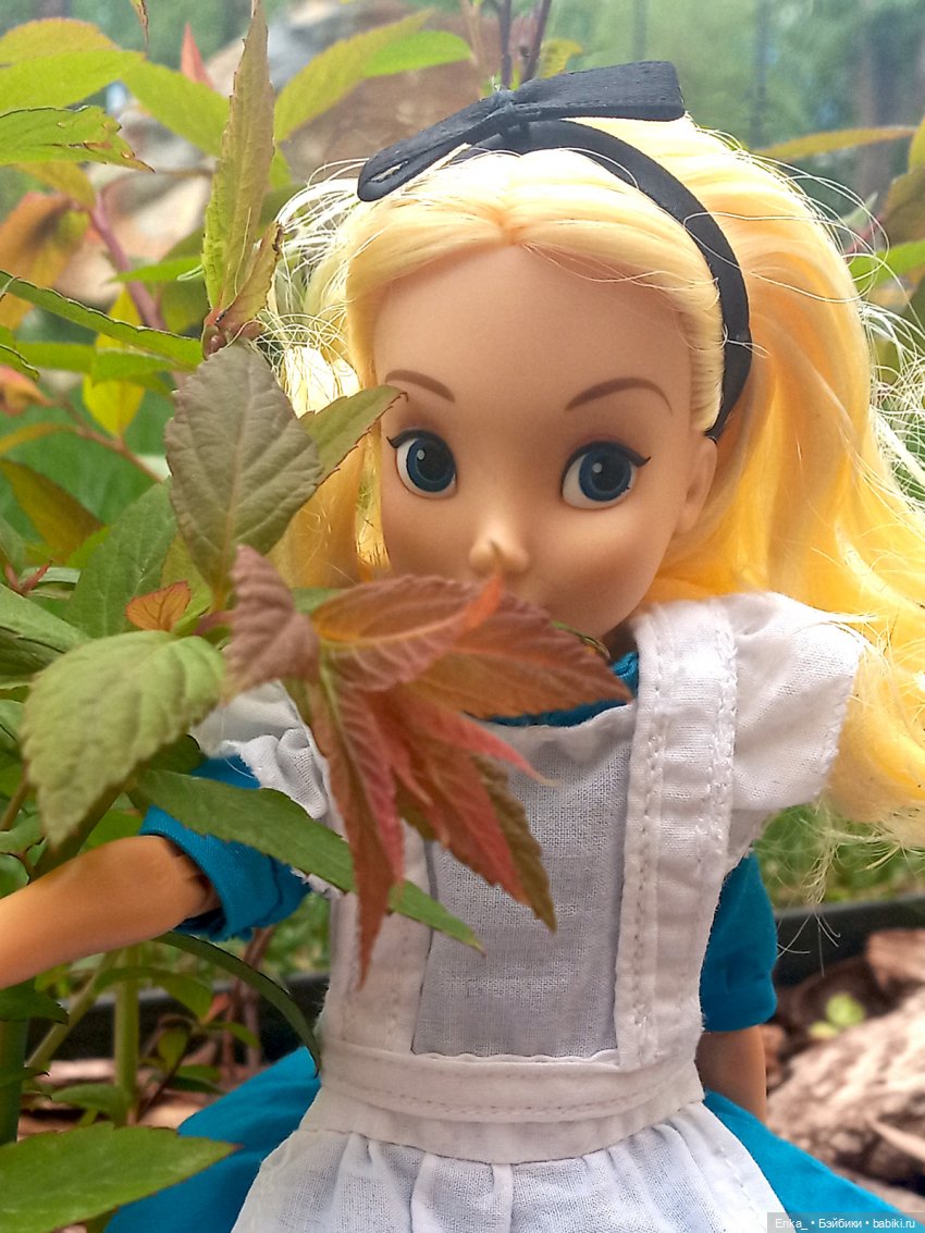 Алиса в Стране чудес: встреча с застенчивым цветком (фото 2)