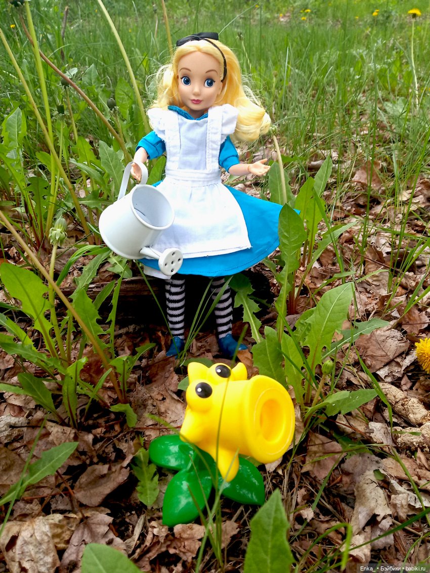 Алиса в Стране чудес: встреча с застенчивым цветком