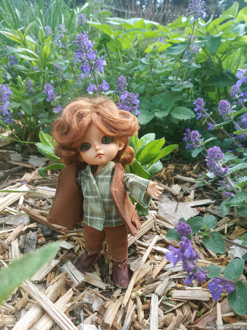 Странствия Питера Пена: в долине цветочных драконов 🐲