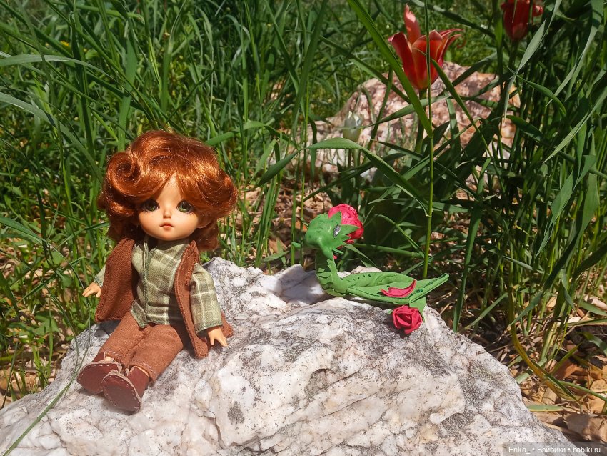 Странствия Питера Пена: в долине цветочных драконов 🐲 (фото 8)