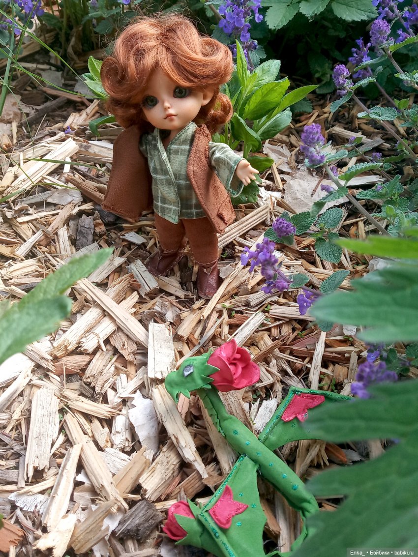 Странствия Питера Пена: в долине цветочных драконов 🐲 (фото 3)