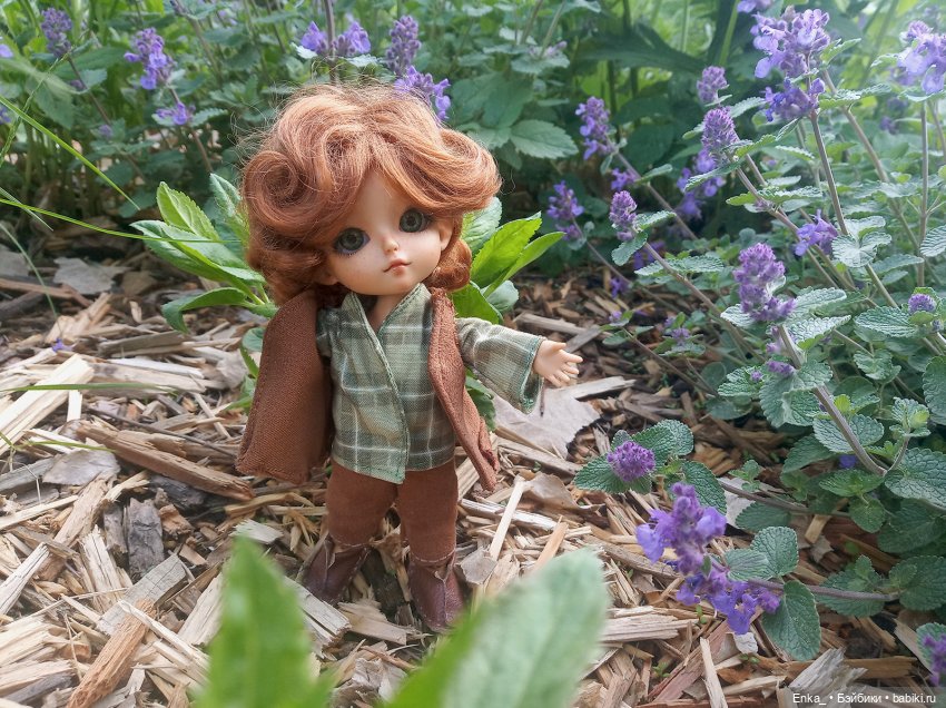 Странствия Питера Пена: в долине цветочных драконов 🐲 (фото 2)