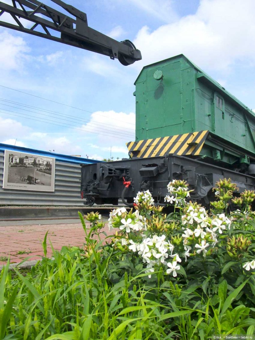 Карлос и Керри смотрят паровозы (фото 10)