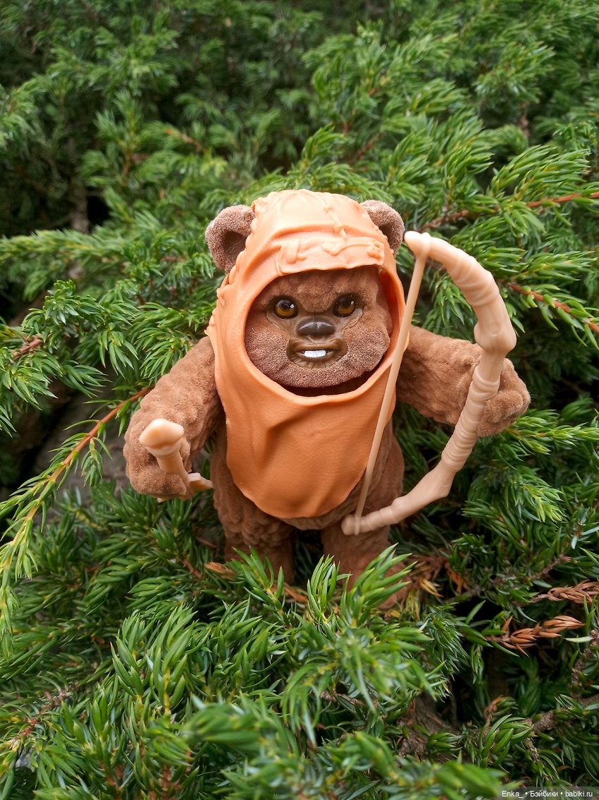 Приключения на планете Эндор. Встреча Леи и Викета (фото 3)