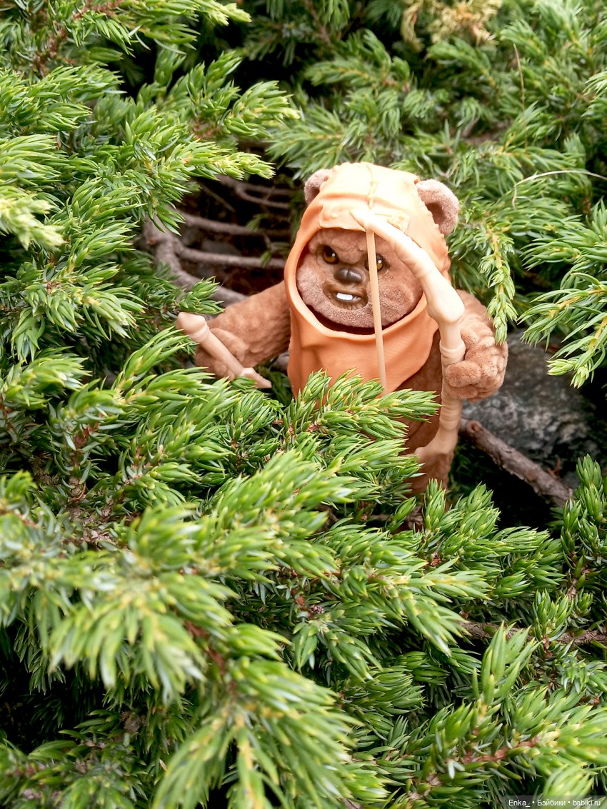 Приключения на планете Эндор. Встреча Леи и Викета (фото 9)