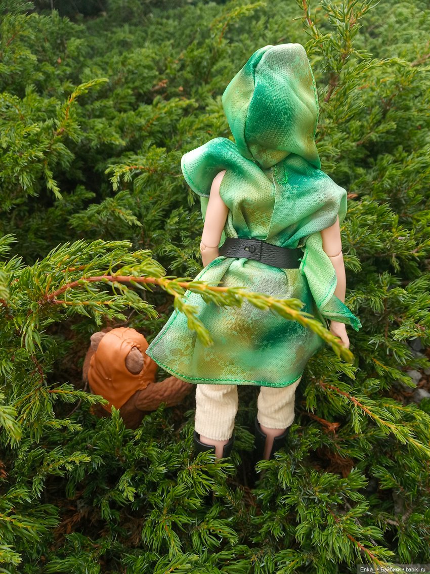 Приключения на планете Эндор. Встреча Леи и Викета