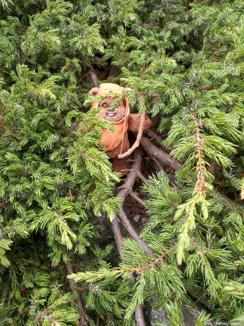 Приключения на планете Эндор. Встреча Леи и Викета (фото 2)