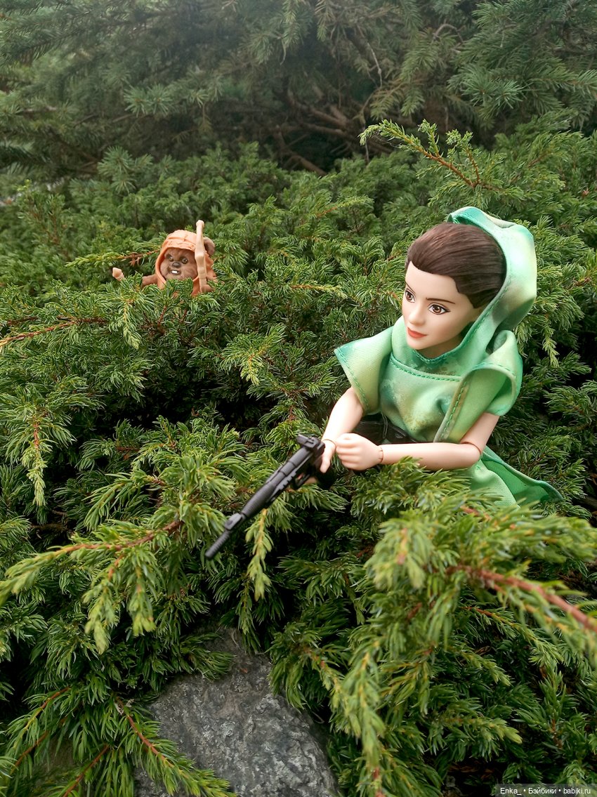 Приключения на планете Эндор. Встреча Леи и Викета