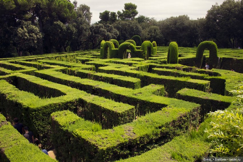 Дорин Грин и Орешек в лабиринте