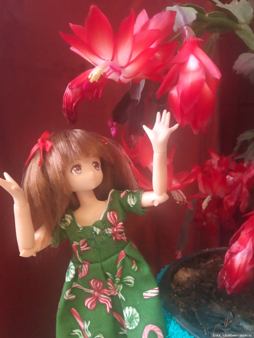 Миюки и декабрист — Аниме куклы (MJD/Винил): Imomo (фото 5)