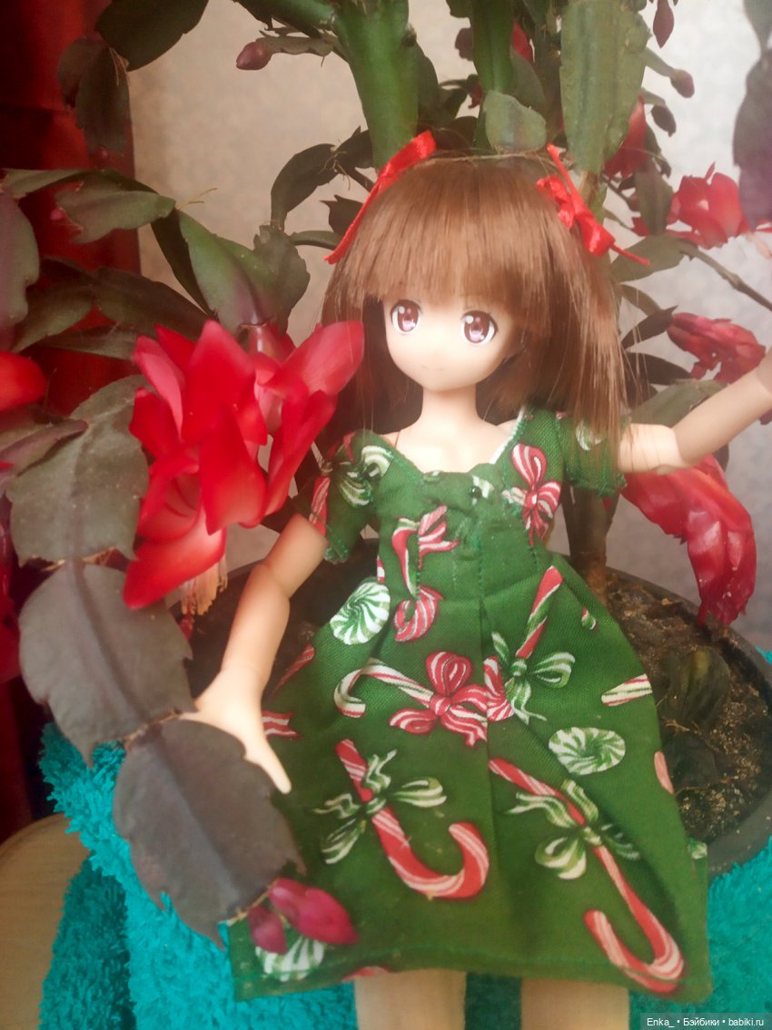 Миюки и декабрист — Аниме куклы (MJD/Винил): Imomo (фото 2)