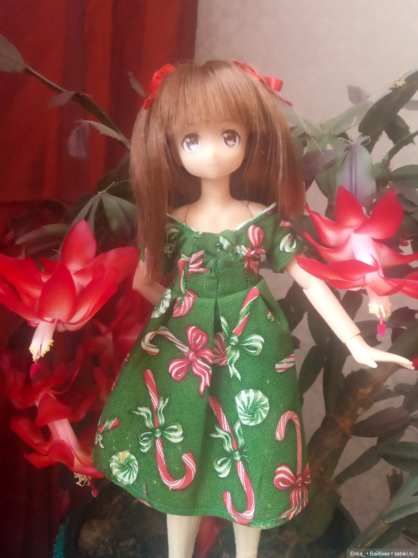 Миюки и декабрист — Аниме куклы (MJD/Винил): Imomo (фото 8)