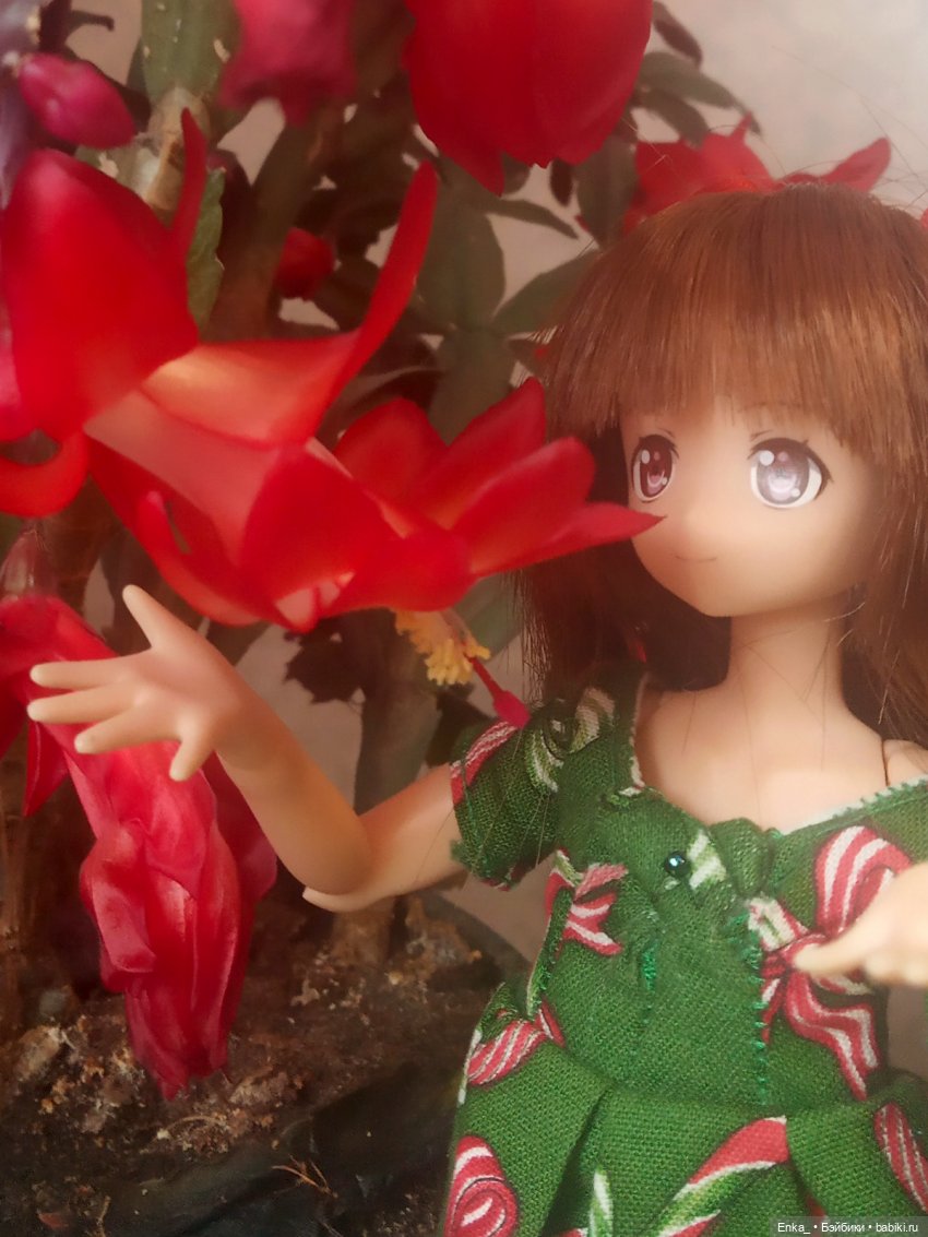 Миюки и декабрист — Аниме куклы (MJD/Винил): Imomo (фото 3)