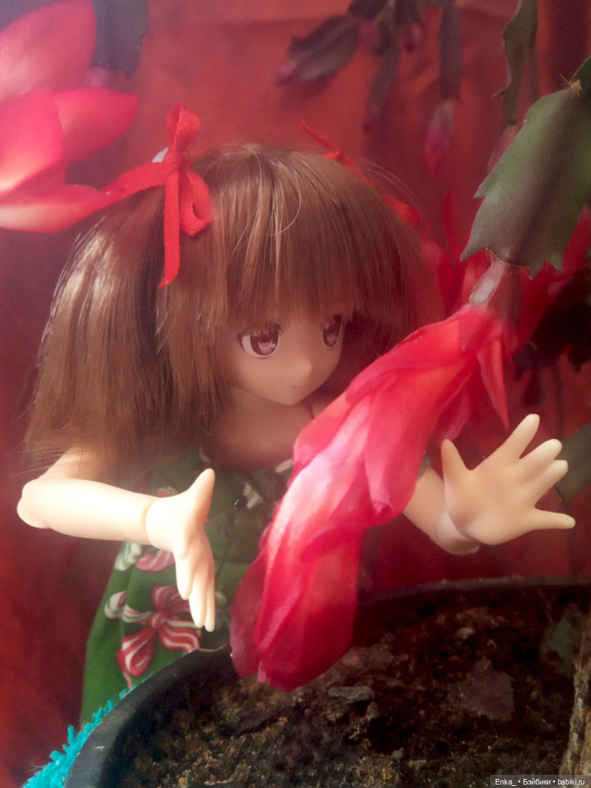 Миюки и декабрист — Аниме куклы (MJD/Винил): Imomo (фото 7)