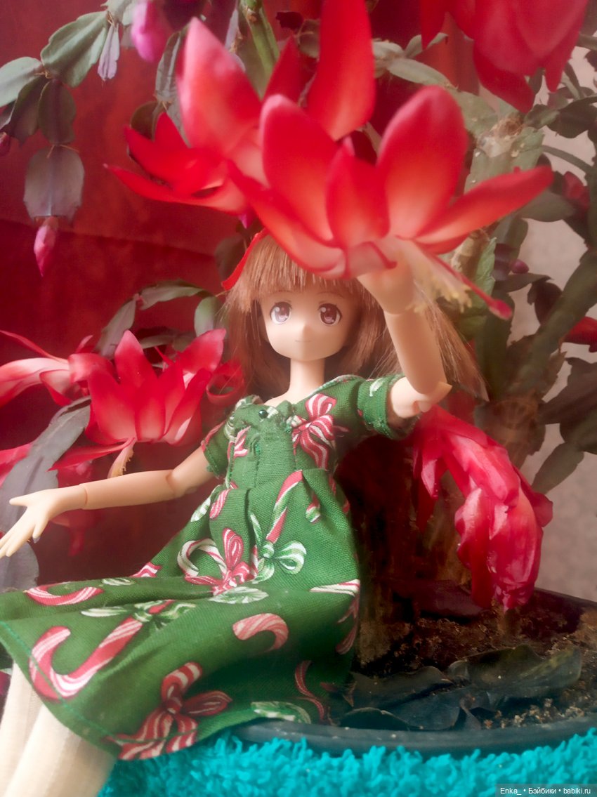 Миюки и декабрист — Аниме куклы (MJD/Винил): Imomo (фото 9)