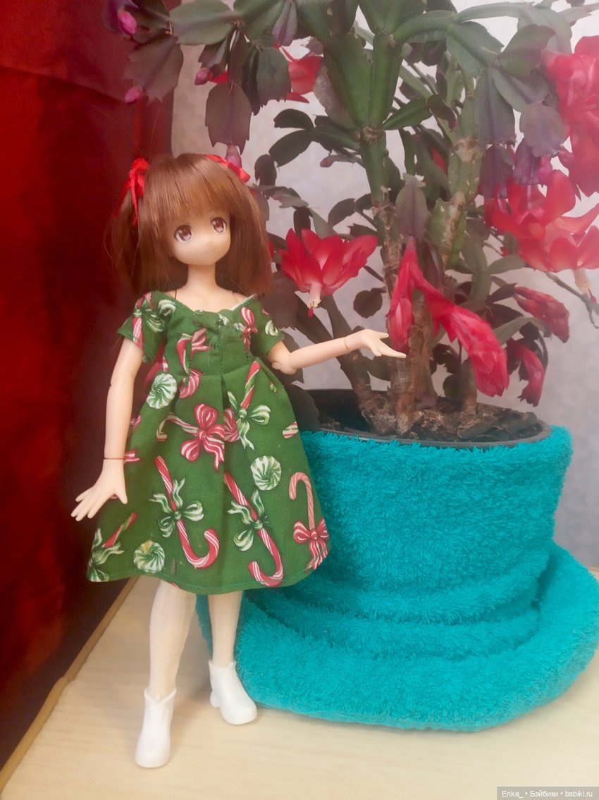 Миюки и декабрист — Аниме куклы (MJD/Винил): Imomo