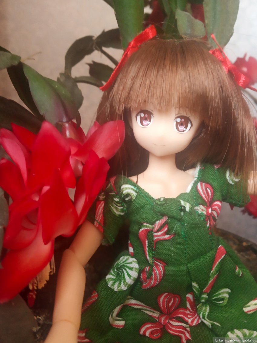 Миюки и декабрист — Аниме куклы (MJD/Винил): Imomo (фото 4)